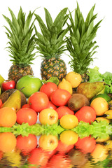rich harvest