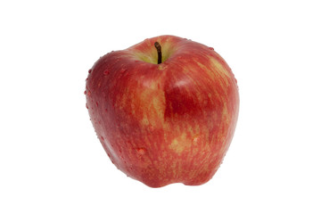 frischer roter Apfel