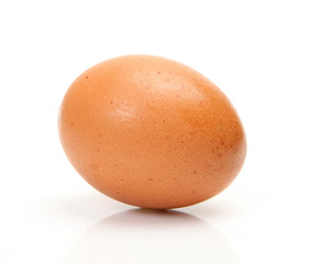 Egg