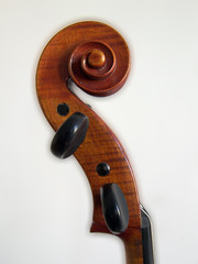 Schnecke eines Vionloncellos