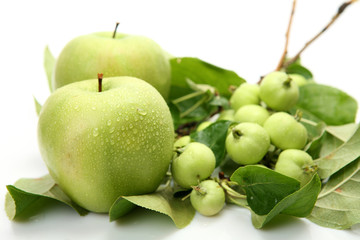 Fresh fruit