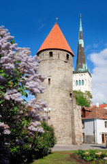 Old city © Valery Bareta