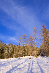 Winterstimmung Schladming / Ramsau