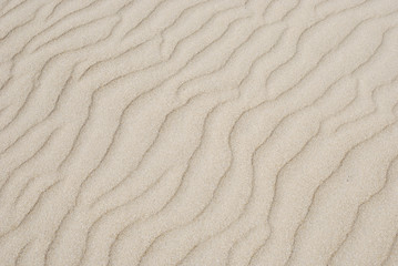 Wavy Lines in Sand