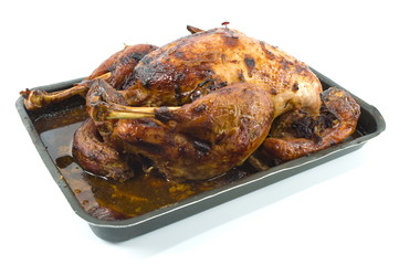 Roast Turkey