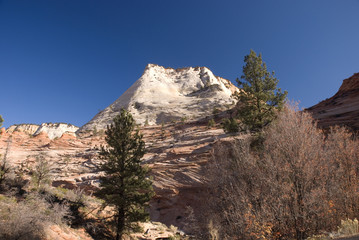 Zion National Park, Utah