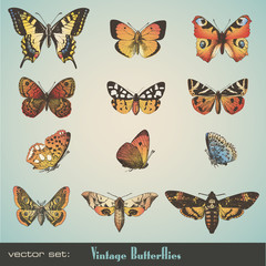 Naklejka premium vector set: vintage butterflies