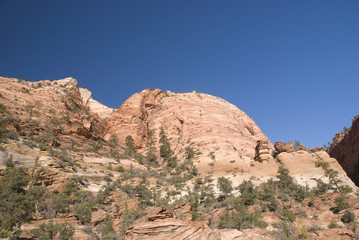 Fototapeta na wymiar Zion National Park, Utah