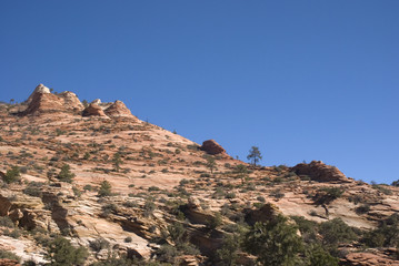 Fototapeta premium Zion National Park, Utah