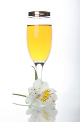 Goblet with wine and white orchid