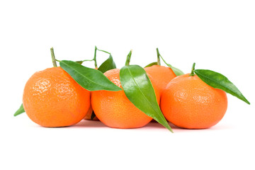 Tangerines on white