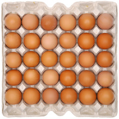 Eggs in protective packaging