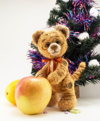 Tiger under a Christmas fur-tree