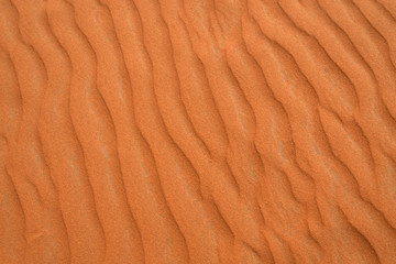 Red sand desert