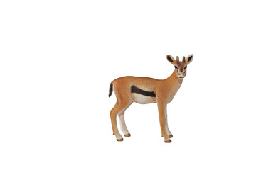 Tiere Afrikas - Gazelle