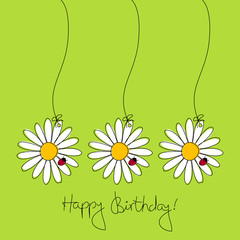 3 Blumen nebeneinander & Marienkäfer © Jan Engel