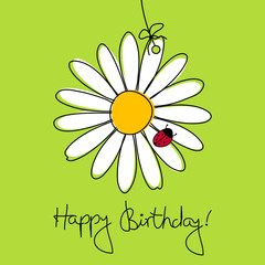 große Blume & Marienkäfer © Jan Engel