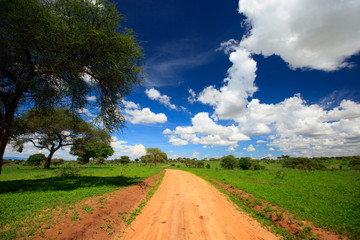 Tarangire national park