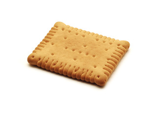 biscuit
