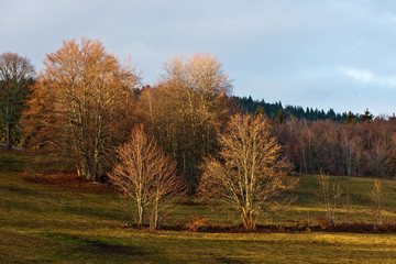 Les Bauges (Savoie)