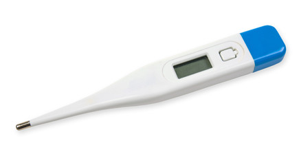 Electronic thermometer