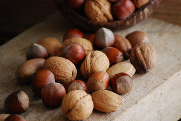 noix et noisettes