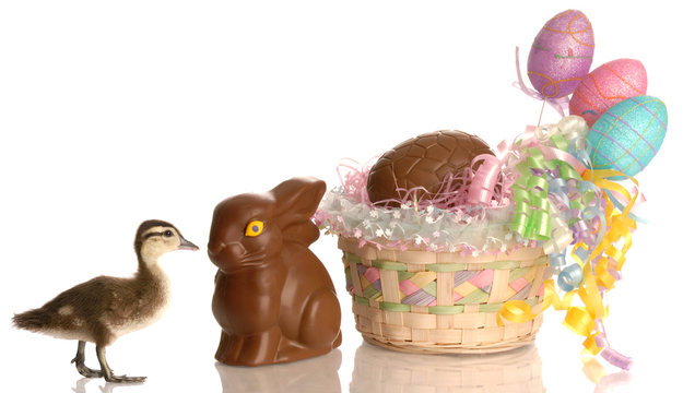 easter basket filled with eggs and chocolate bunny with duck