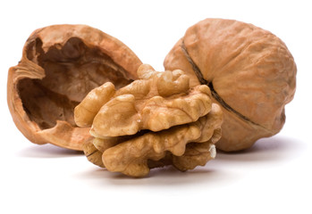 walnut
