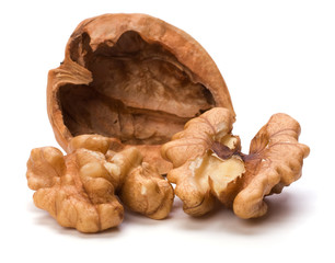 walnut