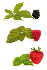 Blackberry, Raspberry and Strawberry