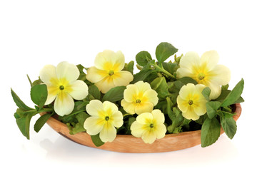 Wildflower and Herb Leaf Salad