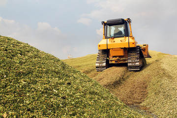 preparing corn silage for a biogas plant 04