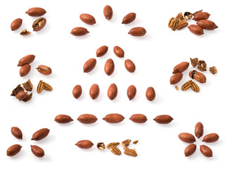 Pecan collection