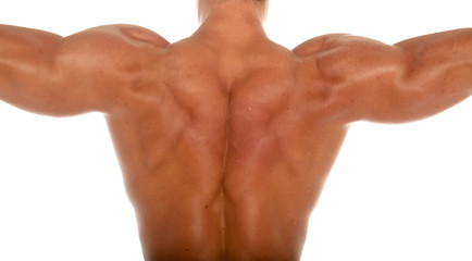 Fototapeta premium Muscular body builder