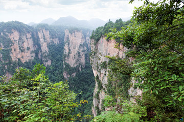 Fototapeta na wymiar ZhangJiaJie a national park in China