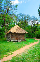 cabin of poor peasant