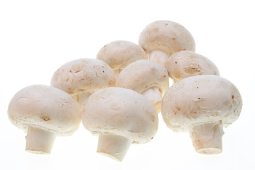 champignons isolated