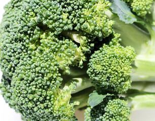 Broccoli floret