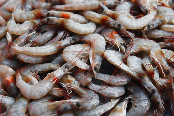 Fresh shrimps on market