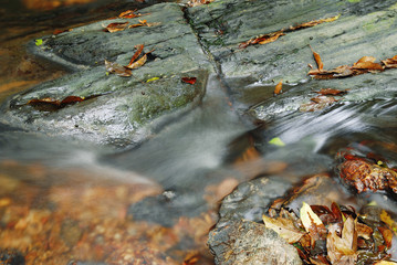 Stones and yellow leaves in brook