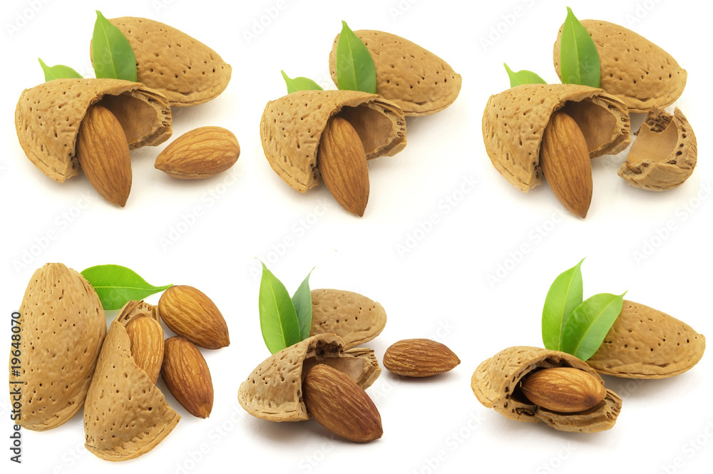 Wall mural sweet almonds