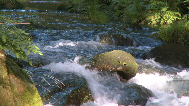 Small waterfall pure frash water in forest
