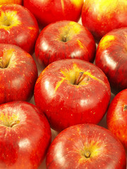 Apple background
