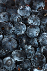 Blueberries vertical