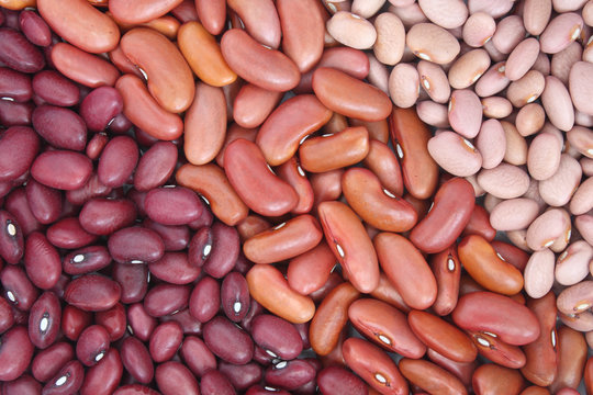 Three kind of beans