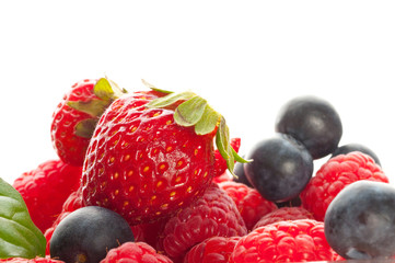 blueberry, blackberry, raspberry. fresh berries
