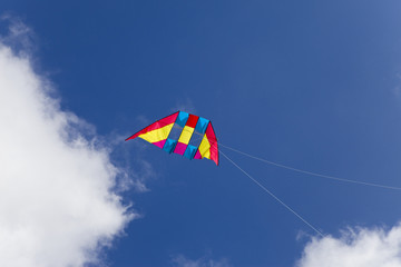 Kite on background of dark blue sky