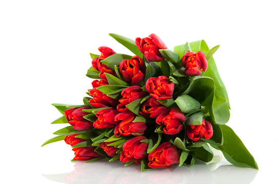Bouquet red tulips