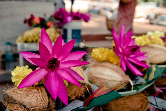 Offerings: pink lotus, yellow flowers