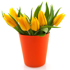 Yellow tulips